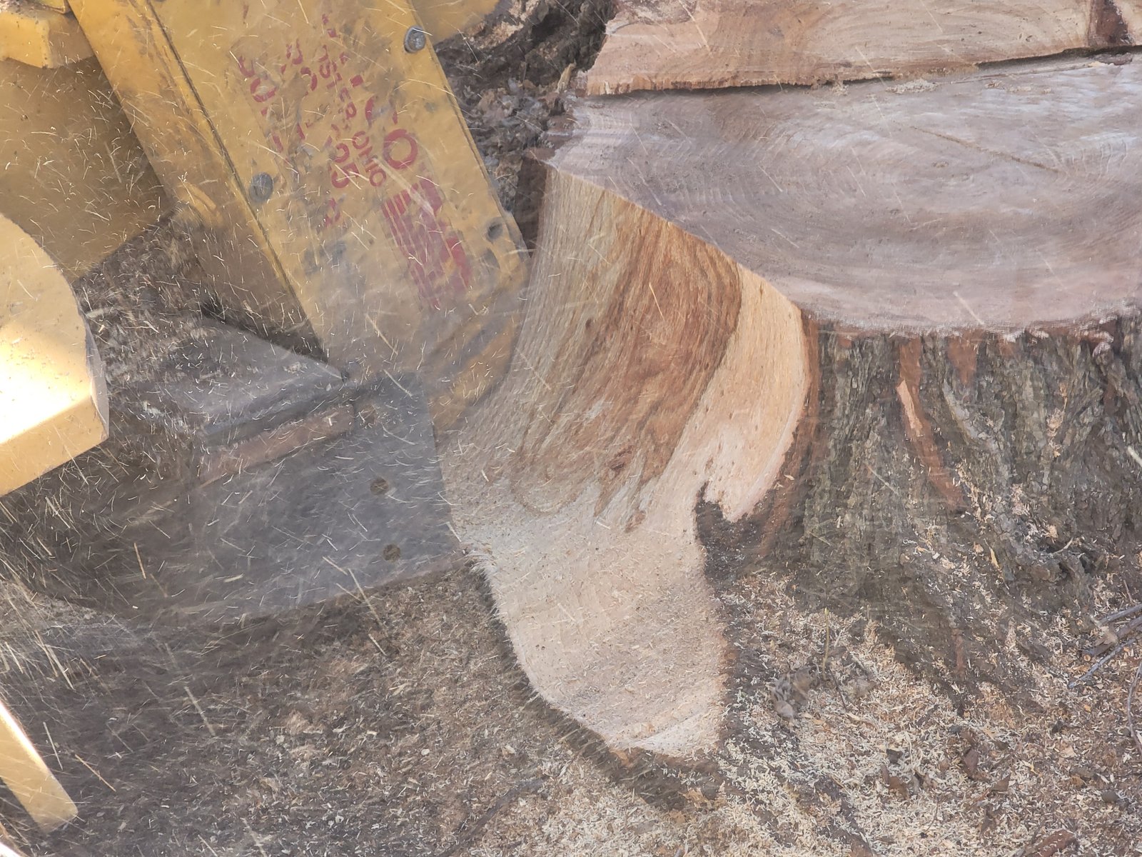 Stump Grinding Image 2